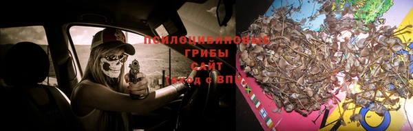 прущие крисы Вяземский