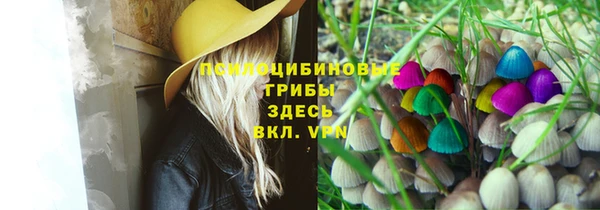 прущие крисы Вяземский