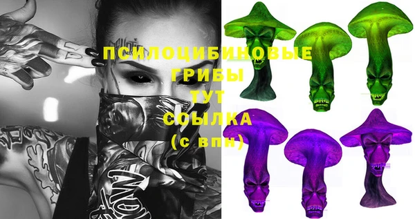 прущие крисы Вяземский