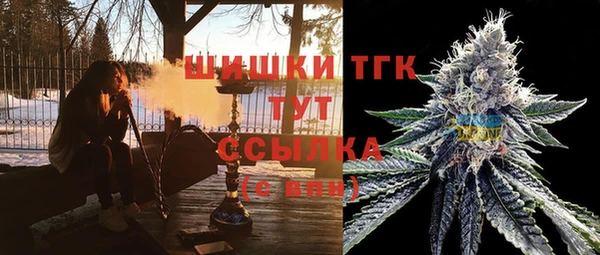 прущие крисы Вяземский