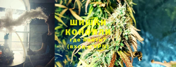 прущие крисы Вяземский