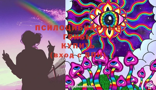прущие крисы Вяземский